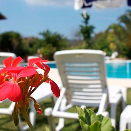 Chrysanthy Apartments Sidárion Dış mekan fotoğraf